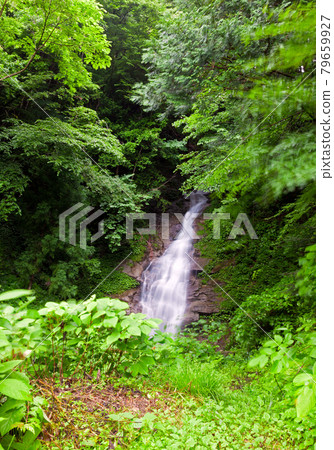Nagano Waterfall in Achi Village, Nagano Prefecture 79659927