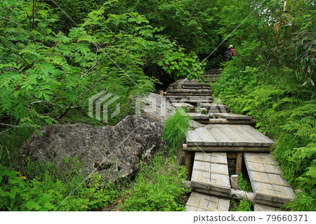 Tsugaike Nature Park Nagano Prefecture 79660371