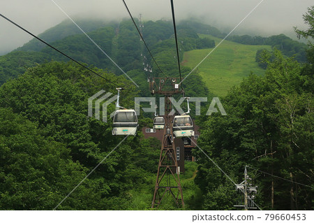 Tsugaike Nature Park Nagano Prefecture Tsugaike Nature Park Nagano Prefecture 79660453