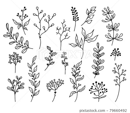 Set of hand-drawn floral elements,doodle plants and branches on a white background. Sketchy elements of design. Vector doodle illustrations. 79660492