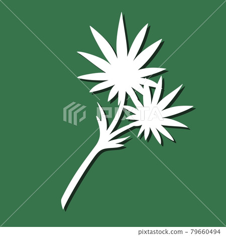 Decorative plant element. White object on a green background. The theme of nature, flowers. Template for plotter laser cutting of paper, metal engraving, wood carving, plywood. Vector illustration. 79660494