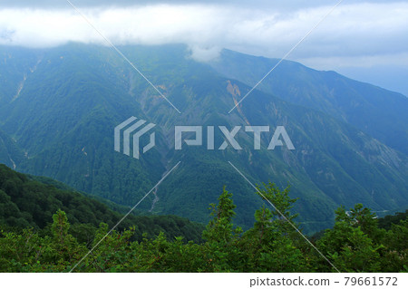 Hakuba Goryu Alpine Botanical Garden Nagano Prefecture Hakuba Goryu Alpine Botanical Garden Nagano Prefecture 79661572