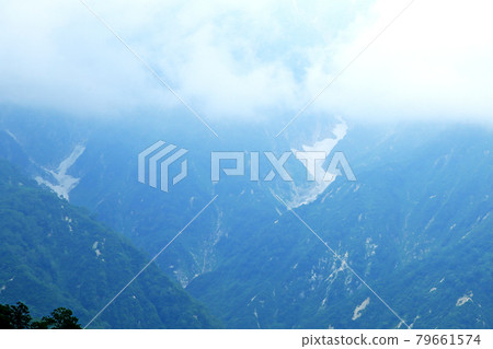 白馬五龍高山植物園 長野縣 白馬五龍高山植物園 長野縣 79661574