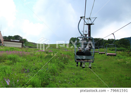 白馬五龍高山植物園 長野縣 白馬五龍高山植物園 長野縣 79661591