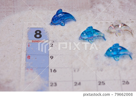 八月海豚圖片 八月海豚圖片 79662008