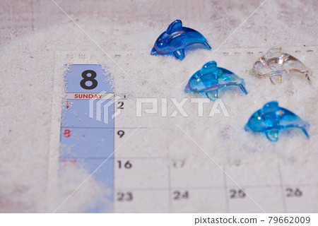 八月海豚圖片 八月海豚圖片 79662009