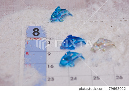 Image of dolphin in August 79662022