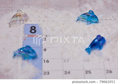 八月海豚圖片 八月海豚圖片 79662051