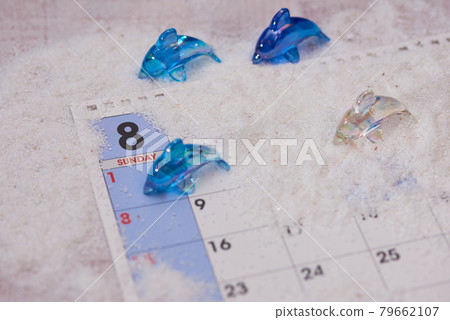 Image of dolphin in August 79662107