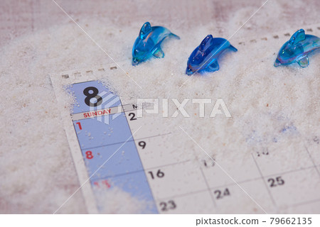 八月海豚圖片 八月海豚圖片 79662135