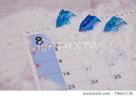 八月海豚圖片 八月海豚圖片 79662136