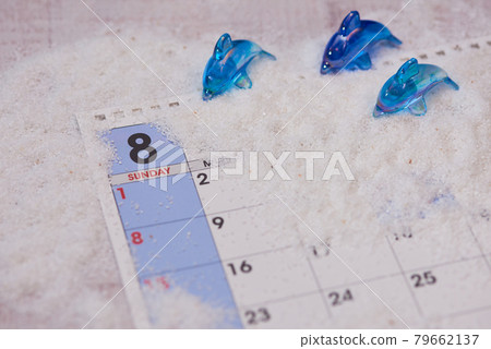 八月海豚圖片 八月海豚圖片 79662137