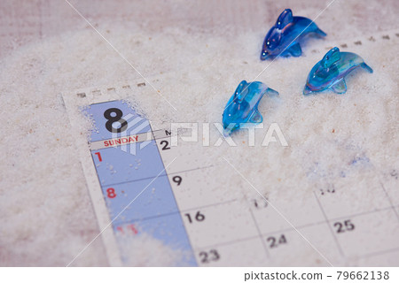 八月海豚圖片 八月海豚圖片 79662138