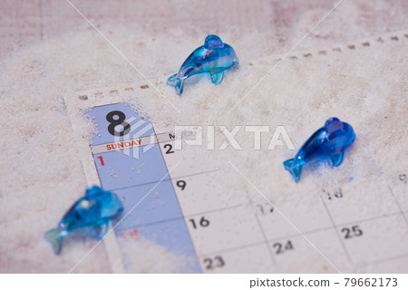 八月海豚圖片 八月海豚圖片 79662173