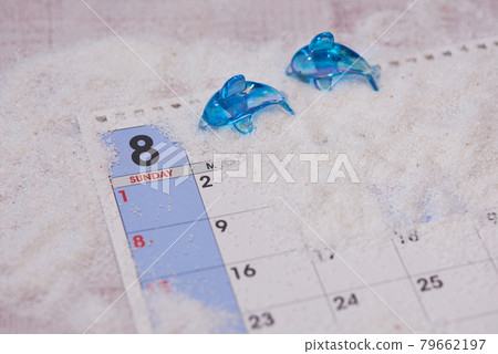 八月海豚圖片 八月海豚圖片 79662197