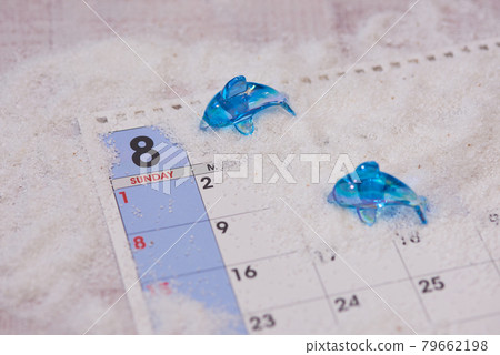八月海豚圖片 八月海豚圖片 79662198