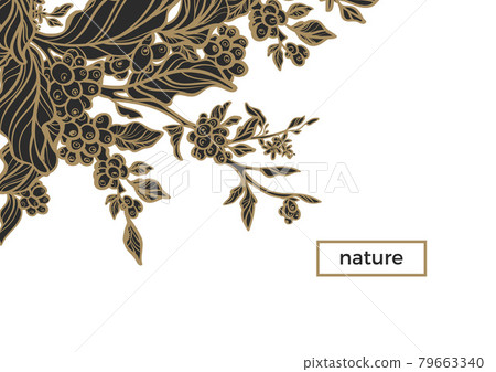 Vector template with coffee branch Vector template with coffee branch 79663340