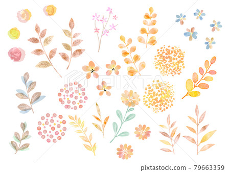 水彩矢量秋季植物插圖集 79663359