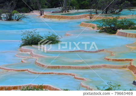 中國四川省阿壩藏族羌族自治州松潘縣世界自然遺產黃龍風景區古塞池湛藍的水 中國四川省阿壩藏族羌族自治州松潘縣世界自然遺產黃龍風景區古塞池湛藍的水 79663469