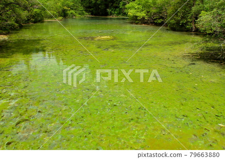 中國 四川省阿壩藏族羌族自治州松潘縣 世界自然遺產 黃龍風景區 生石灰灘 中國 四川省阿壩藏族羌族自治州松潘縣 世界自然遺產 黃龍風景區 生石灰灘 79663880
