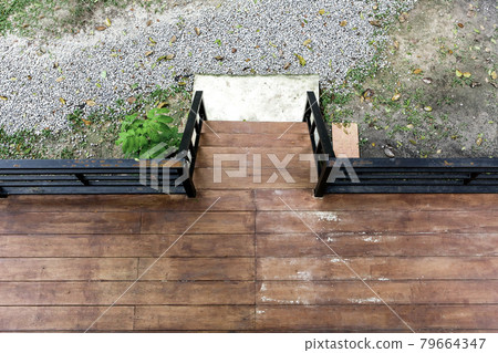 Walk in the flower garden Walk in the flower garden 79664347