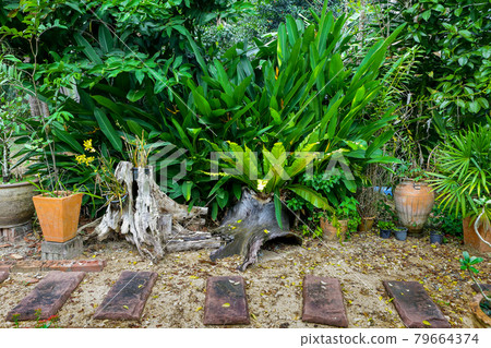 Walk in the flower garden Walk in the flower garden 79664374