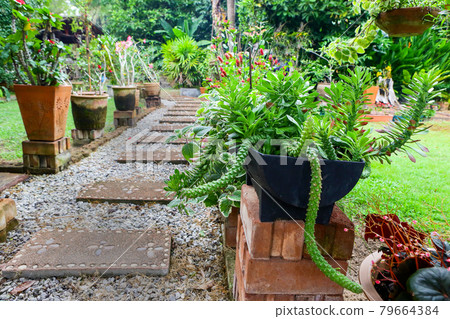 Walk in the flower garden 79664384