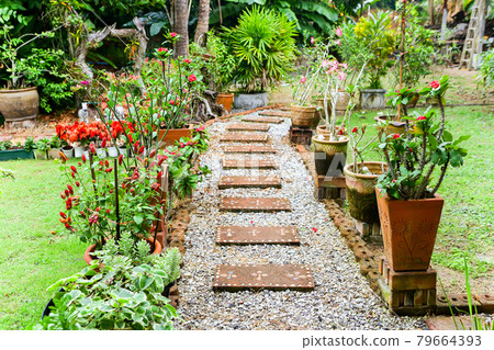 Walk in the flower garden Walk in the flower garden 79664393