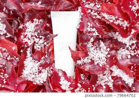 Beauty spa medical skincare, lotion bottle packaging product on snowy red grape leaves background. Mock up cosmetic tube. Moisturizer, shampoo, hand cream, toothpaste. . Beauty spa medical skincare, lotion bottle packaging product on snowy red grape leaves background. Mock up cosmetic tube. Moisturizer, shampoo, hand cream, toothpaste. . 79664702