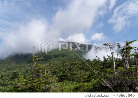 Mt. Ontake Tanohara Natural Park 79665040