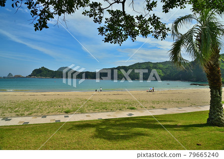 Sumie coast 79665240
