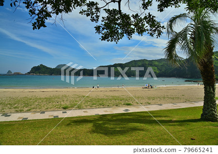 Sumie coast 79665241