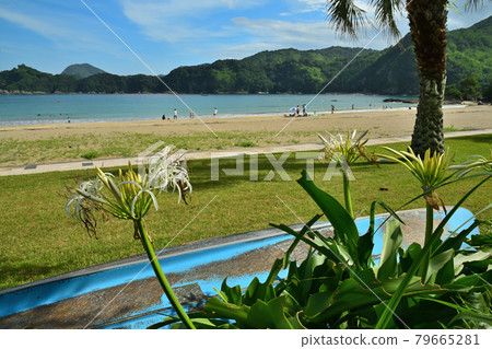 Sumie coast Sumie coast 79665281