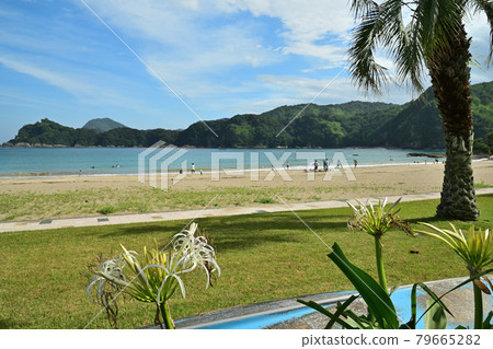 Sumie coast Sumie coast 79665282