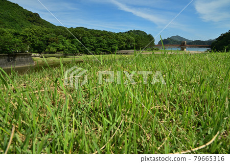 Sumie coast Sumie coast 79665316