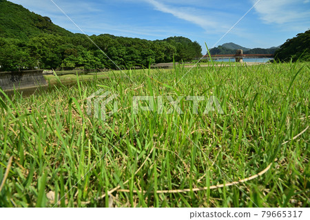 Sumie coast Sumie coast 79665317