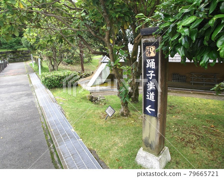 <靜岡> 伊豆舞者之路信息板 <靜岡> 伊豆舞者之路信息板 79665721