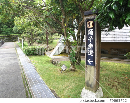 <Shizuoka> Information board for the Izu Dancer Trail <Shizuoka> Information board for the Izu Dancer Trail 79665722