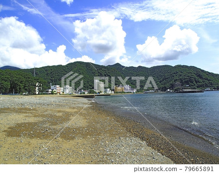 <Shizuoka> Toi Beach <Shizuoka> Toi Beach 79665891
