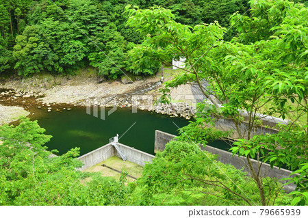 堀河大壩 堀河大壩 79665939