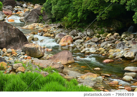 Keiko River Valley 79665959