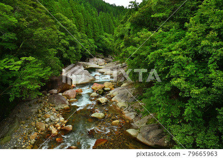 Keiko River Valley 79665963