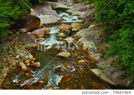 Keiko River Valley 79665964