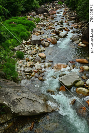 Keiko River Valley 79665978
