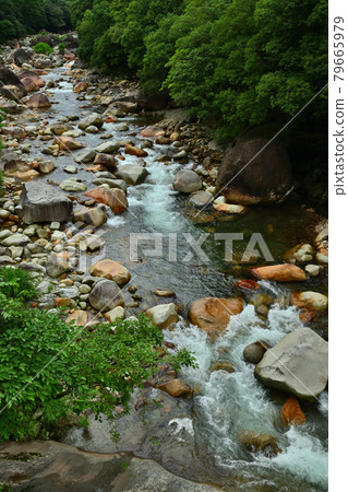 Keiko River Valley 79665979