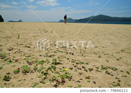 下阿蘇海岸 79666221