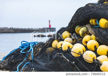 Net of Aise Port, Hitachi City, Ibaraki Prefecture Net of Aise Port, Hitachi City, Ibaraki Prefecture 79666512