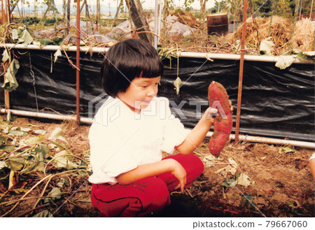 Autumn event: A girl with a bob digging potatoes Autumn event: A girl with a bob digging potatoes 79667060