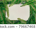 Fern natural background with empty paper card and free copy space 79667468