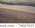 At the beach in the evening 79667635